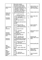 Paraugs 'Sporta stundas konspekts 5.klasei akrobātikā', 2.