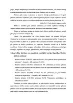 Referāts 'Grāmatvedības darba organizācija zvērinātu advokātu birojā', 6.