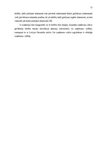 Referāts 'Grāmatvedības darba organizācija zvērinātu advokātu birojā', 13.