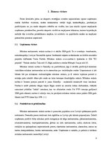 Referāts 'Eksporta plāns', 3.