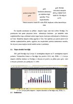 Referāts 'Eksporta plāns', 8.