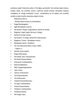 Referāts 'Eksporta plāns', 12.