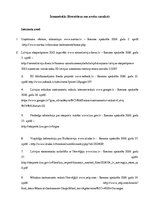 Referāts 'Eksporta plāns', 25.