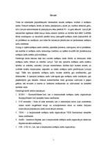 Referāts 'Latvijas komercbanku norēķinu karšu piedāvājuma novērtējums', 2.