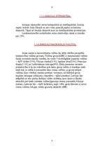 Referāts 'Somijas tirgus', 9.