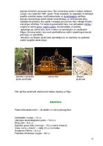 Konspekts 'Ekskursija pa Latviju', 13.