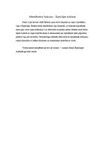 Eseja 'Menedžmenta funkcijas filmā "Confessions of a Shopaholic"', 2.