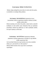 Eseja 'Menedžmenta funkcijas filmā "Confessions of a Shopaholic"', 3.