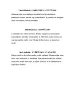 Eseja 'Menedžmenta funkcijas filmā "Confessions of a Shopaholic"', 4.