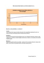 Paraugs 'Vielas koncentrācijas ietekme uz ķīmiskās reakcijas ātrumu', 2.