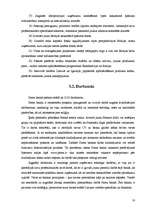 Referāts '"Parex banka" apraksts', 16.