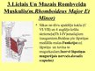 Prezentācija 'Muguras ārējie muskuļi', 5.