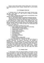 Referāts 'Klasiskā menedžmenta teorija', 7.