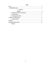 Referāts 'Sabiedrības viedoklis par vīrieša un sievietes lomu sadalījumu ģimenē', 2.