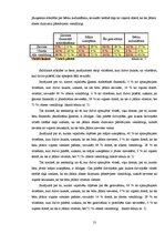 Referāts 'Sabiedrības viedoklis par vīrieša un sievietes lomu sadalījumu ģimenē', 13.