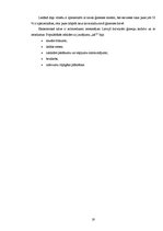 Referāts 'Sabiedrības viedoklis par vīrieša un sievietes lomu sadalījumu ģimenē', 19.