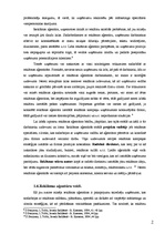 Referāts 'Starptautisko reklāmas aģentūru darbība Latvijā', 7.