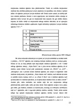 Referāts 'Starptautisko reklāmas aģentūru darbība Latvijā', 12.