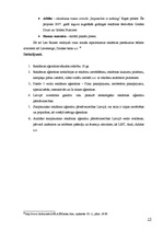 Referāts 'Starptautisko reklāmas aģentūru darbība Latvijā', 15.