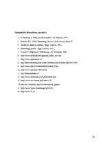 Referāts 'Starptautisko reklāmas aģentūru darbība Latvijā', 16.