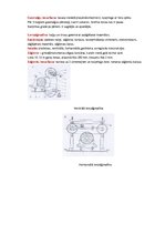 Konspekts 'Kokapstrādes darbmašīnas un to uzbūve', 3.