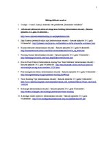 Eseja 'Komandas veidošana', 5.