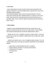 Referāts 'Maize tradīciju un biznesa konspektā', 6.