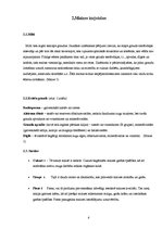 Referāts 'Maize tradīciju un biznesa konspektā', 8.