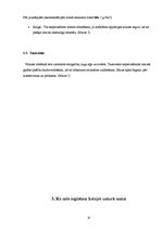 Referāts 'Maize tradīciju un biznesa konspektā', 10.