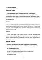 Referāts 'Maize tradīciju un biznesa konspektā', 11.