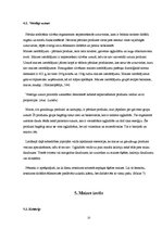 Referāts 'Maize tradīciju un biznesa konspektā', 13.
