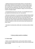 Referāts 'Maize tradīciju un biznesa konspektā', 19.