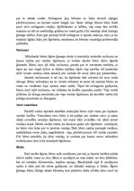 Konspekts 'Ģimenes psiholoģija - šķiršanās', 7.