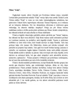 Eseja 'Kultūras dienasgrāmata', 2.