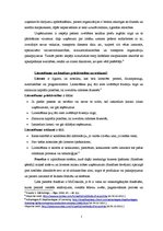 Konspekts 'Mārketinga stratēģija iekļūšanai starptautiskajā tirgū. Starptautisko sadales ka', 5.