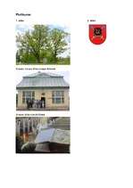 Referāts 'Ernesta Glika Bībeles tulkojuma nozīme latviešu rakstu valodas un leksikas attīs', 10.