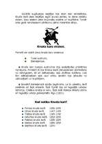 Referāts 'Krusta kari', 5.