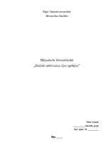 Konspekts 'Statiski noteicamas sijas aprēķins un dimensionēšana', 1.