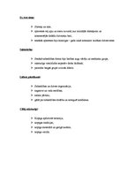 Konspekts 'Akmens laikmets', 2.