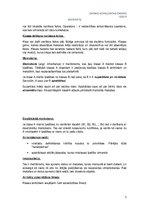 Referāts 'Objektorientētā programmēšana', 3.