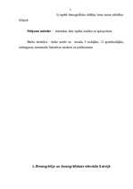 Referāts 'Demogrāfiskie rādītāji un to ietekme uz tautas attīstības bilanci', 4.