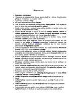 Konspekts 'Renesanse', 1.