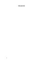 Referāts 'Uzņēmumu finanšu pārskatu neatkarīga izskatīšana', 14.