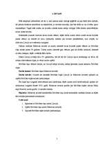 Referāts 'Brīvības cīņas Kārsavas novadā', 3.