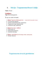 Konspekts 'Tropiskā parazitoloģija', 1.