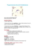 Konspekts 'Tropiskā parazitoloģija', 2.