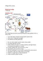 Konspekts 'Tropiskā parazitoloģija', 3.