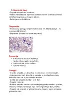 Konspekts 'Tropiskā parazitoloģija', 5.