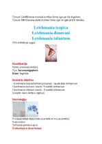 Konspekts 'Tropiskā parazitoloģija', 6.