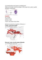 Konspekts 'Tropiskā parazitoloģija', 7.